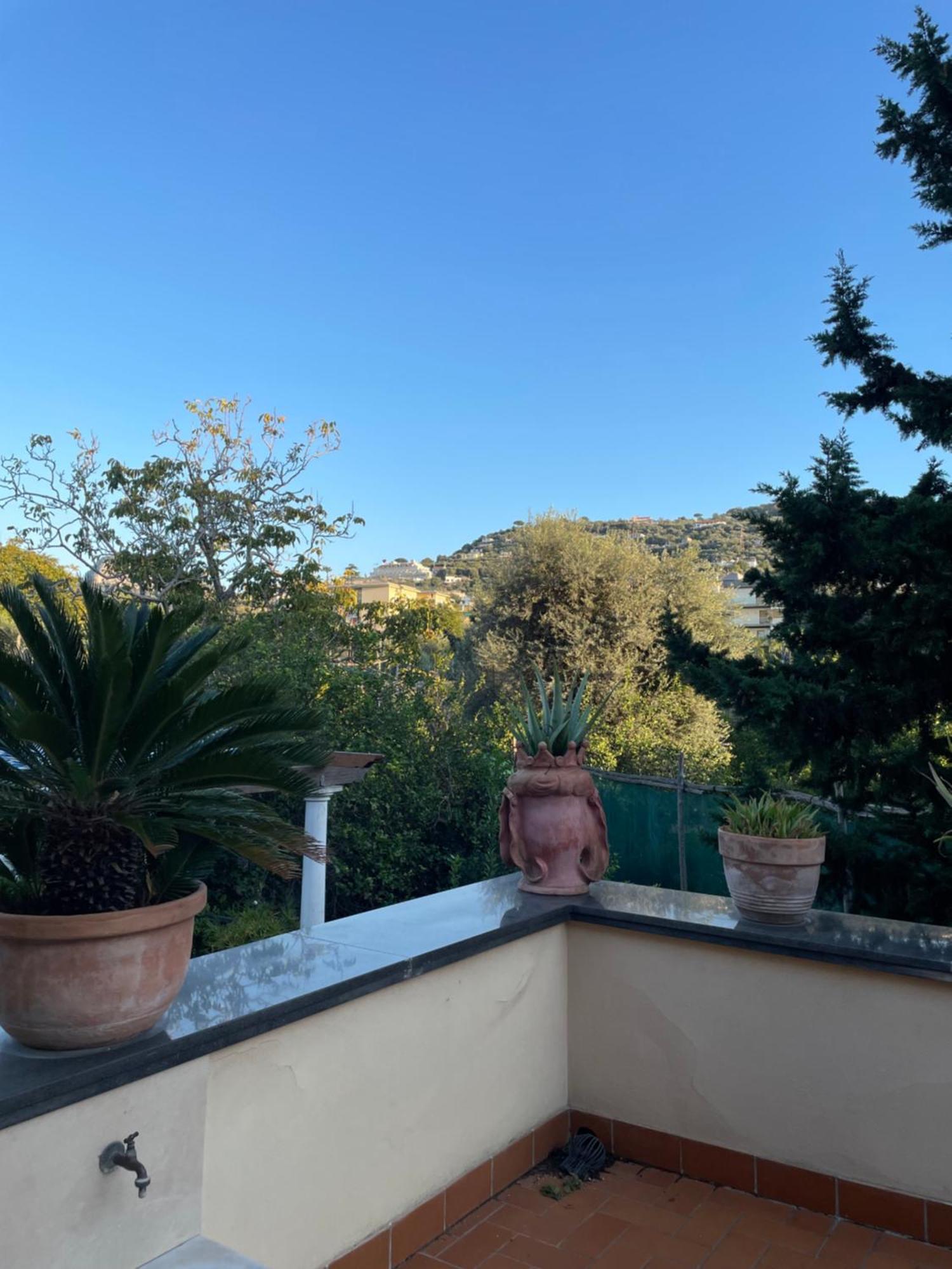 Domus Felix Bed & Breakfast Sorrento Dış mekan fotoğraf