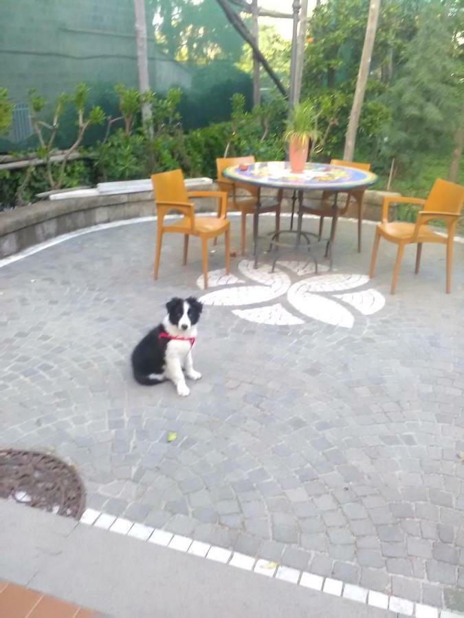 Domus Felix Bed & Breakfast Sorrento Dış mekan fotoğraf